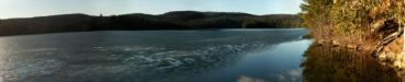 Ice Along Shore