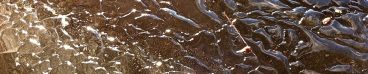 Water on Ice